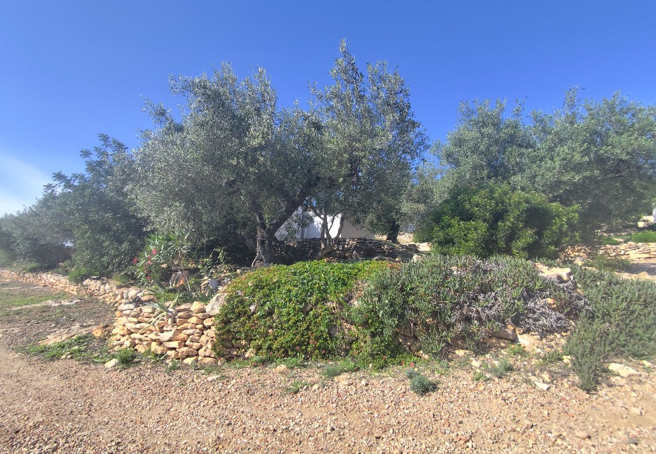 Country house in El Perelló - Finca Punt Country house in El Perelló - Finca Punt